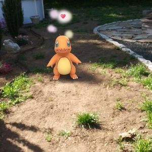 Meet your Posher, Noah